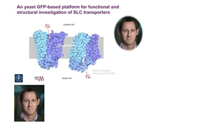 VIDEO - Membrane Proteins Workshop - An yeast GFP-based platform for functional and structures investigation of SLC transporters with David Drew