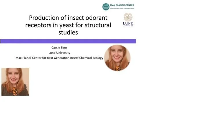 VIDEO - Membrane Proteins Workshop - Production of insect odorant receptors in yeast for structural studies with Cassie Sims