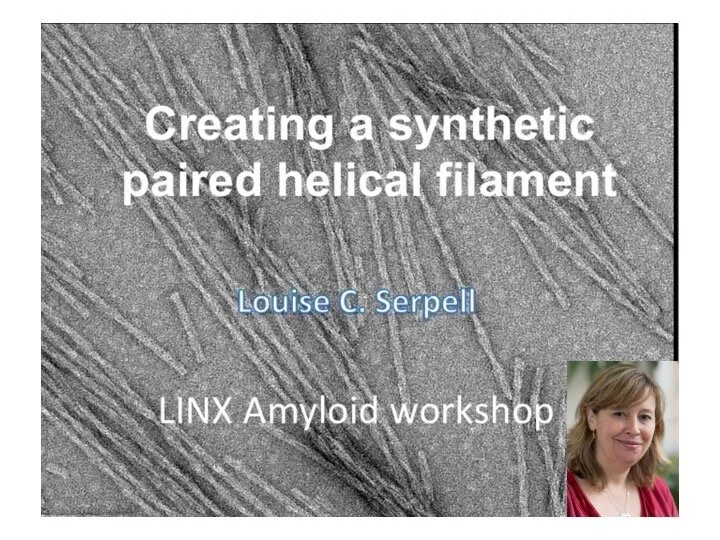 VIDEO - Heart and Mind Workshop -  Creating a synthetic paired helical filament, with Louise Serpell