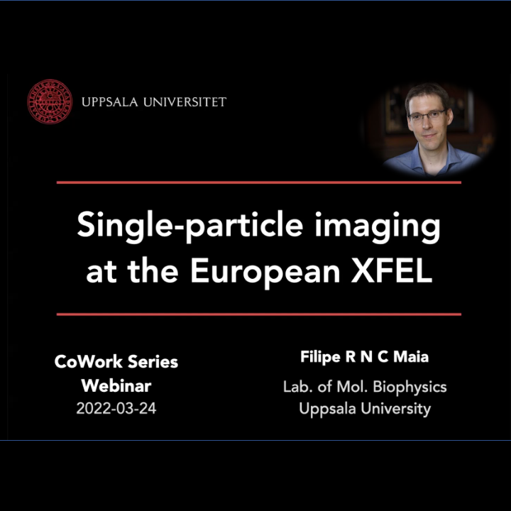 VIDEO - CoWork series - Single-particle diffraction imaging at the European XFEL, with Filipe Maia