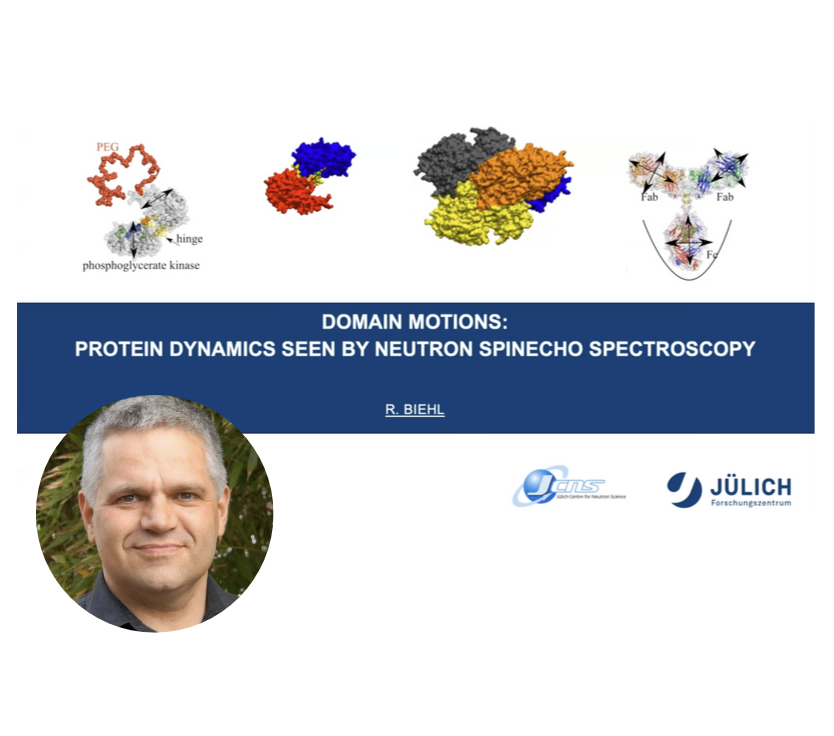 VIDEO – Domain Motions: Protein Dynamics seen by Neutron Spinecho Spectroscopy with Ralf Biehl – IPDD theme 2024