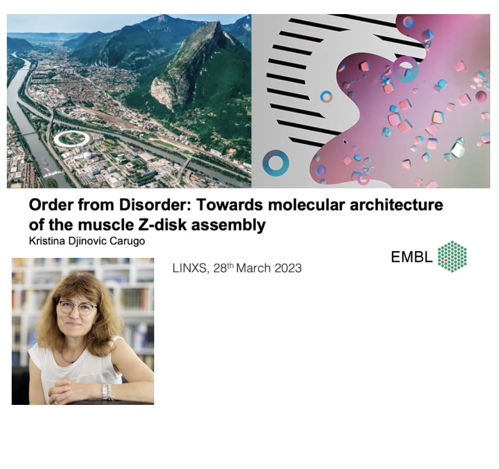 VIDEO - Guest Seminar: Order from disorder in sarcomeric Z-disks– with Kristina Djinovic Carugo 2023