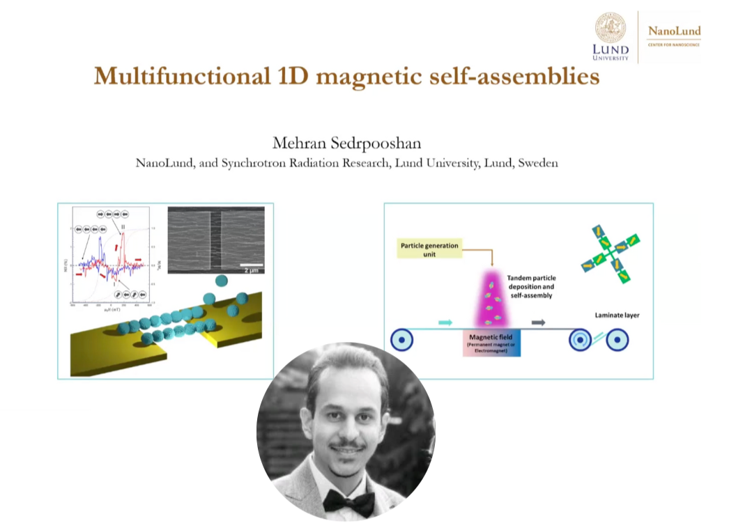 VIDEO - LINXS Science Day on New Materials 2024: Multifunctional 1D magnetic self-assemblies with Mehran Sedrpooshan