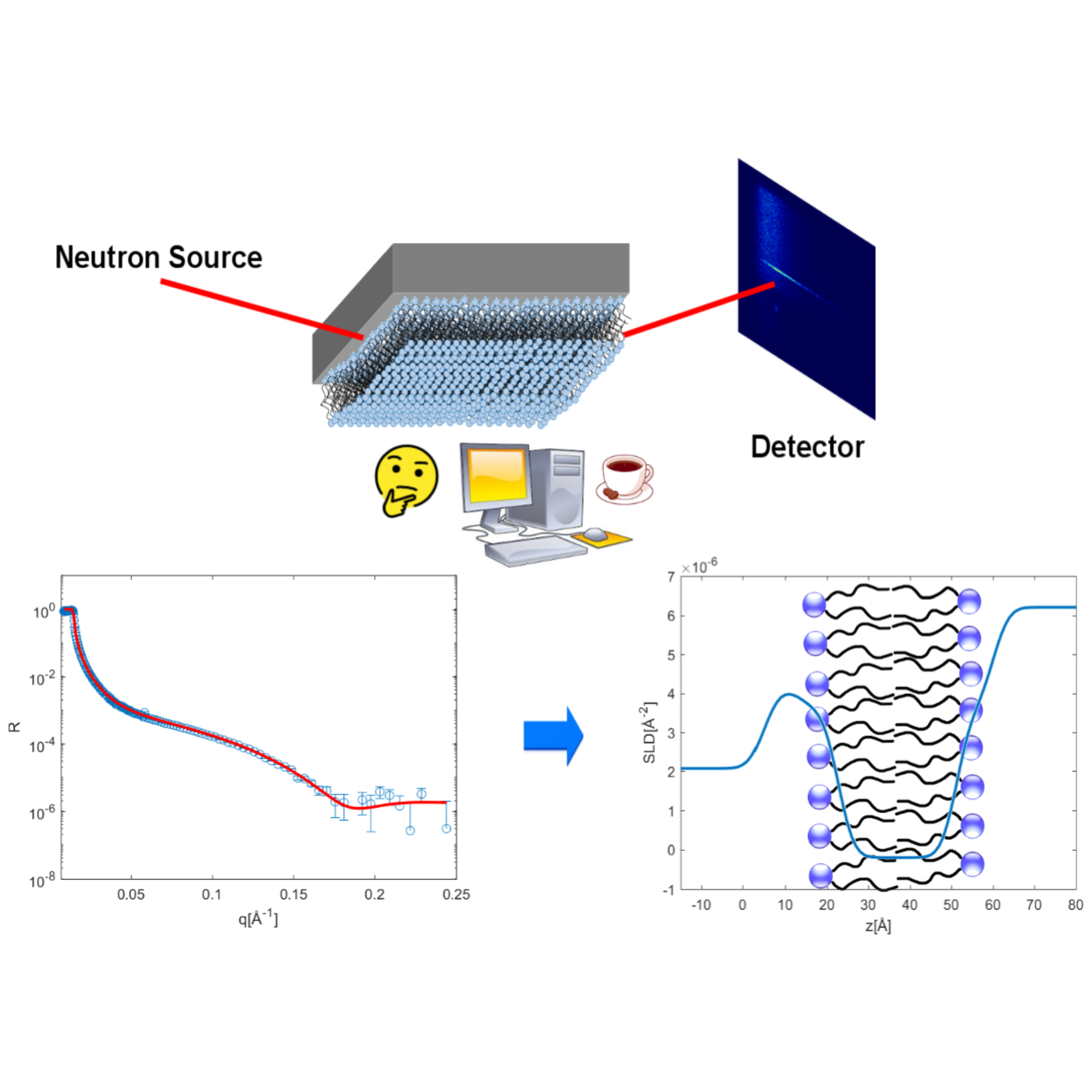 Neutron Reflectometry and Supported Lipid Bilayers - SMILE