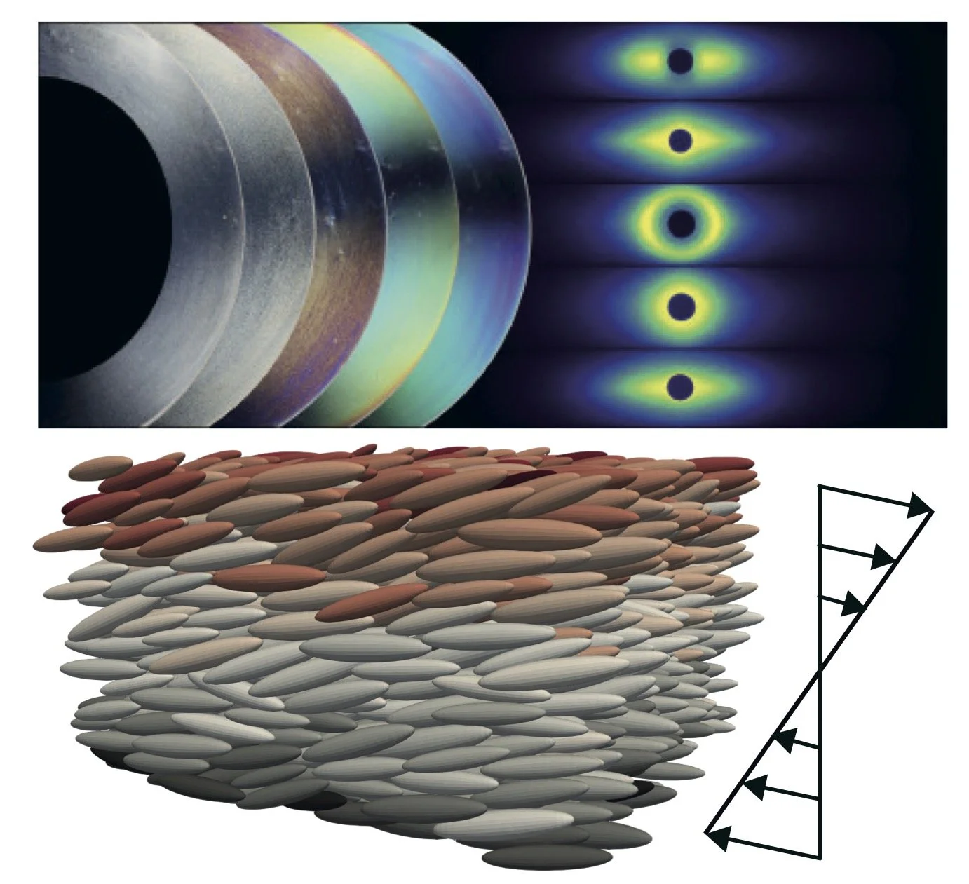 Bridging Rheology and SAXS/SANS: Strengthening Theoretical Links Between Structure and Flow - RheoMAXESS