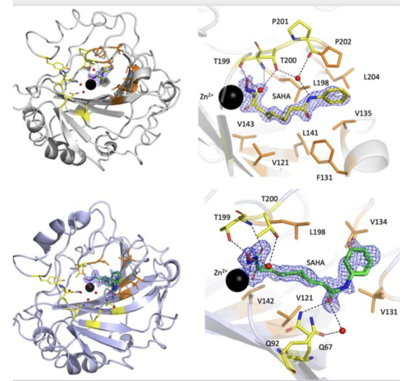 Joint ESS and University of Leicester publication