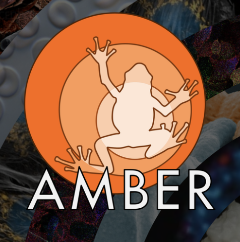 More postdoctoral researchers in AMBER 