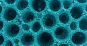 SwedNess Small-Angle Neutron Scattering (SANS) Course – LINXS Partner Event 
