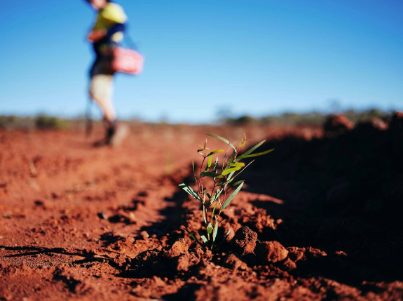 David Barr Architects Carbon Neutral