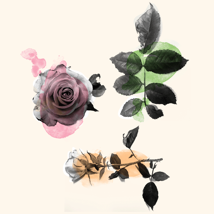 STYLE_3.gif
