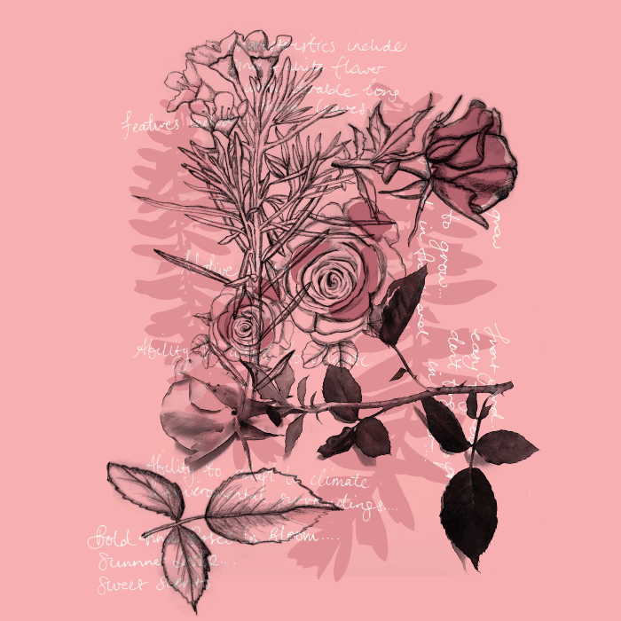 STYLE_2.gif