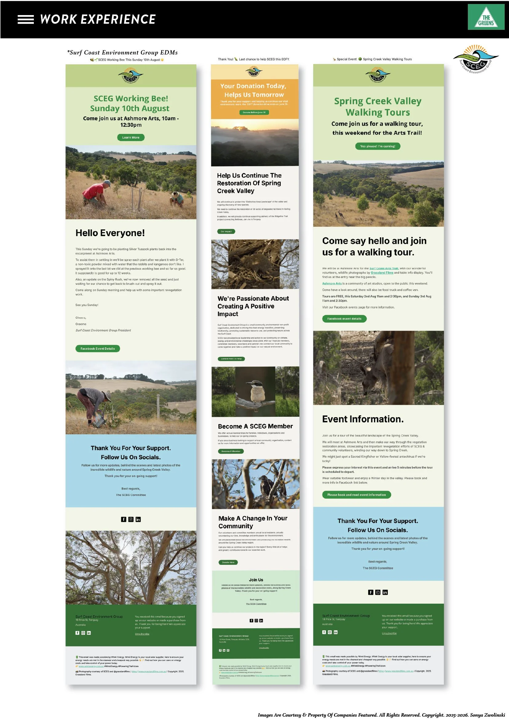 SONYAZ.CV.SHM.02.03.26_BOARDS 9.jpg