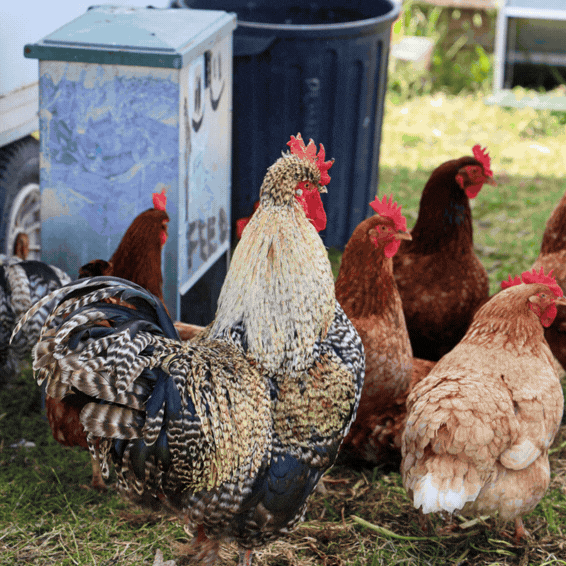 PHOTOGRAPHY - YOUTH CLIMATE JUSTICE EVENT