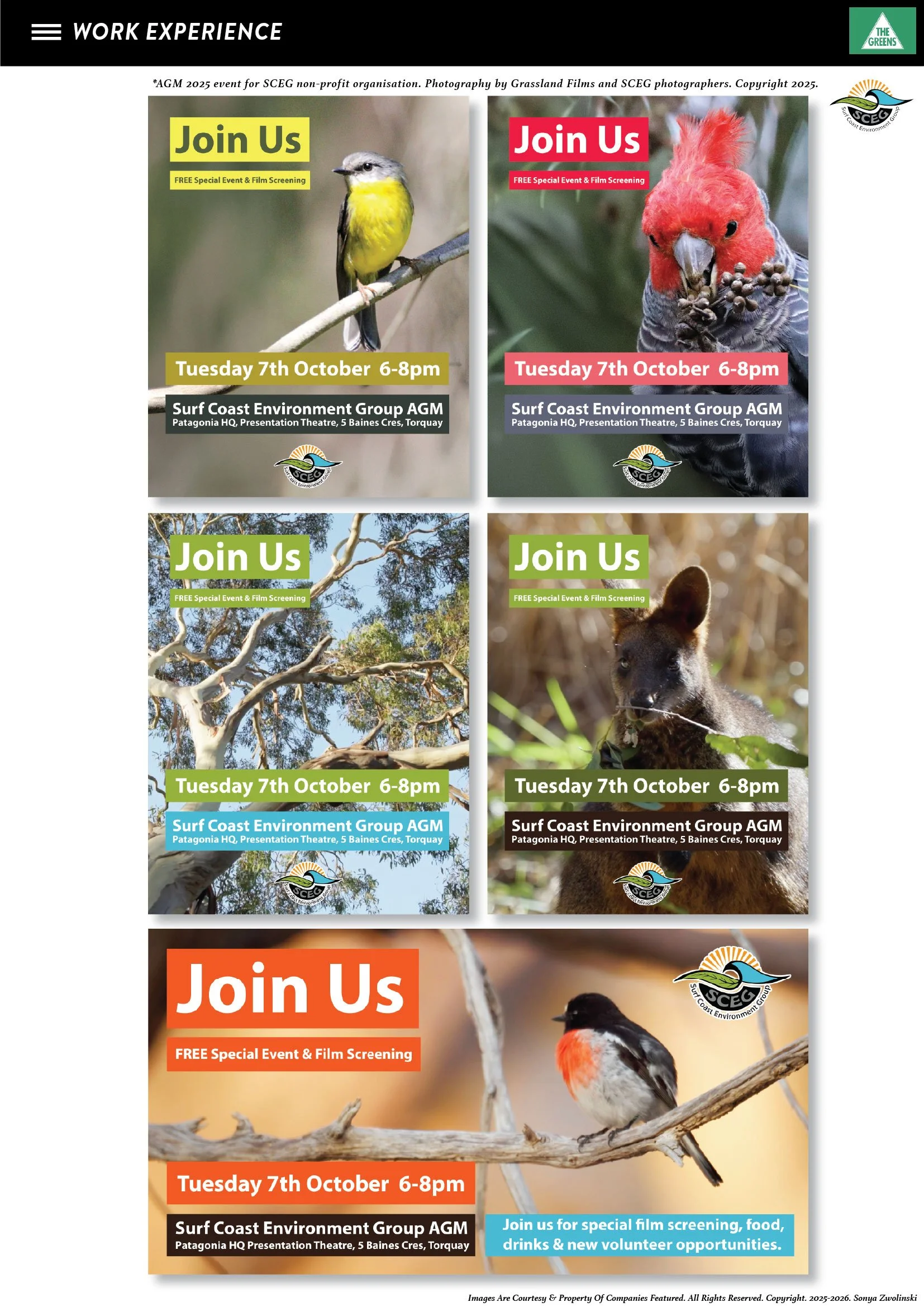 SONYAZ.CV.SHM.02.03.26_BOARDS 8.jpg