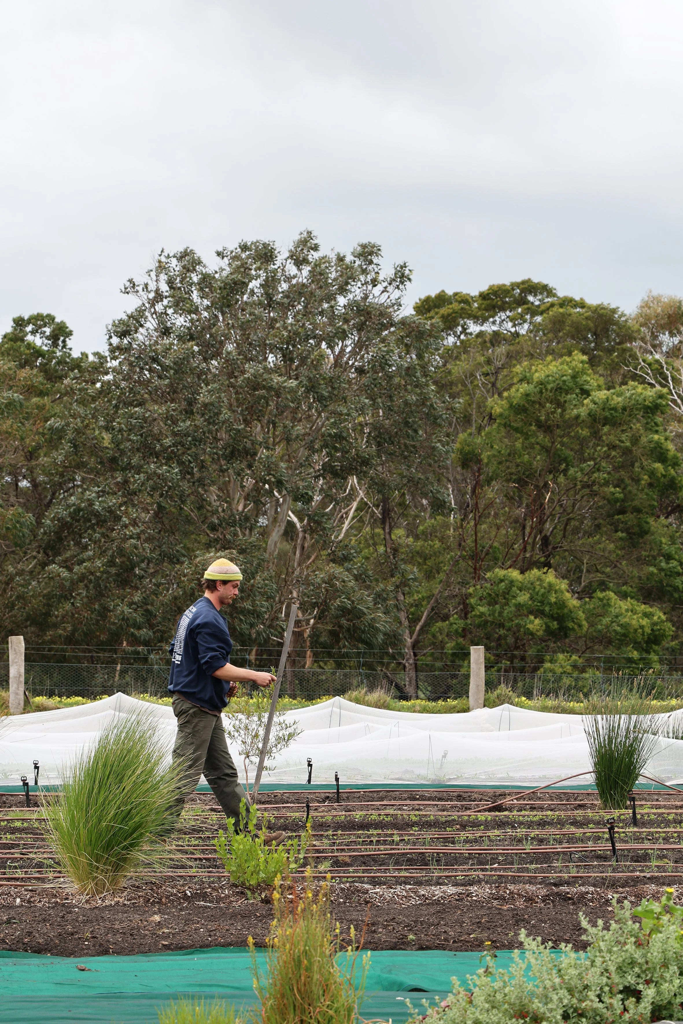 PHOTOGRAPHY - FARM MY SCHOOL