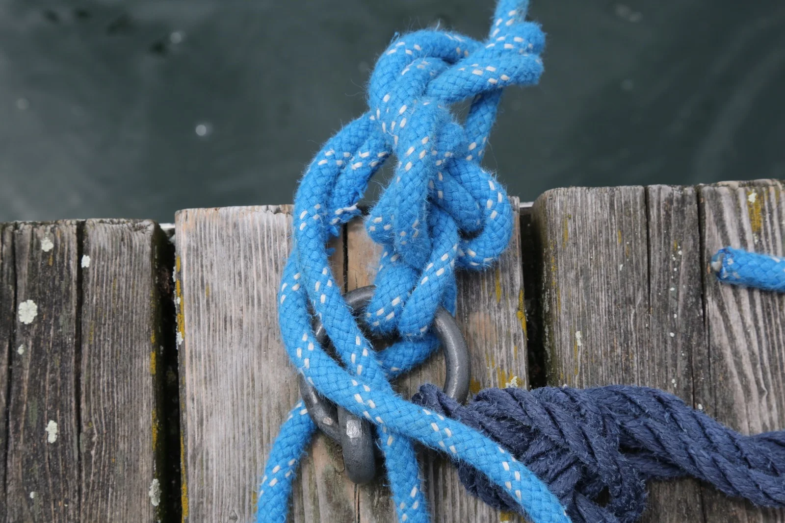 MT_09651.jpg