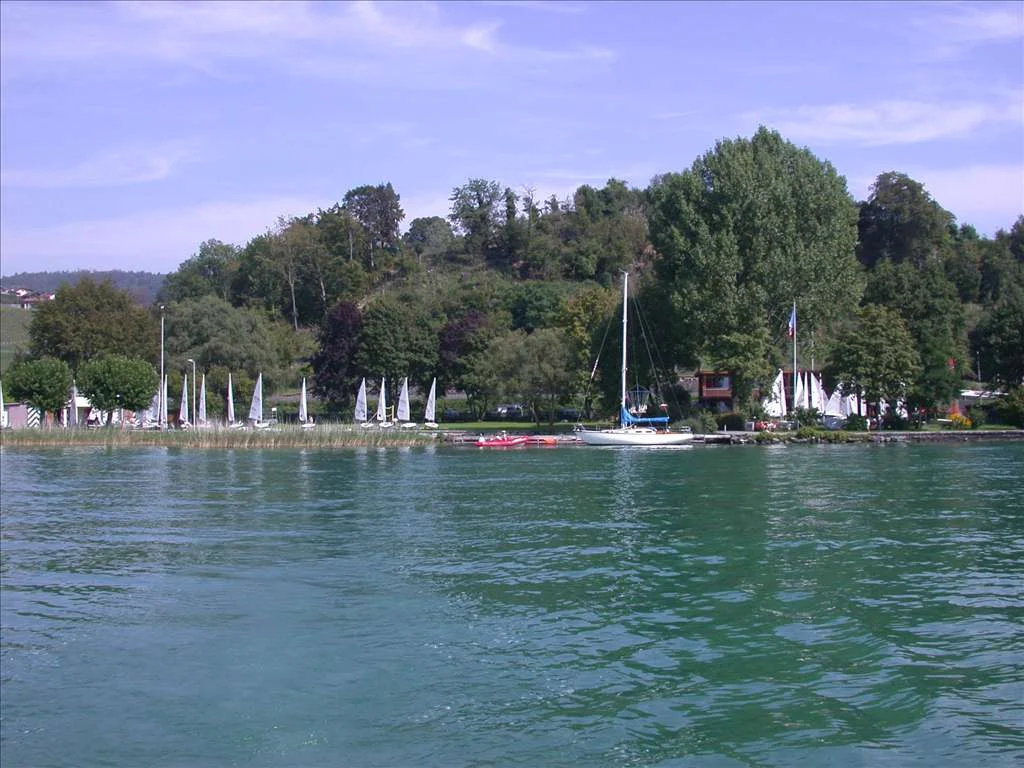 665174_Herbst2006 019.jpg