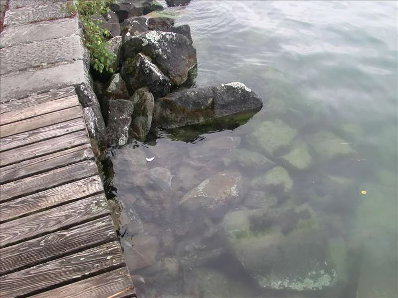 463053_Sturm 026.jpg