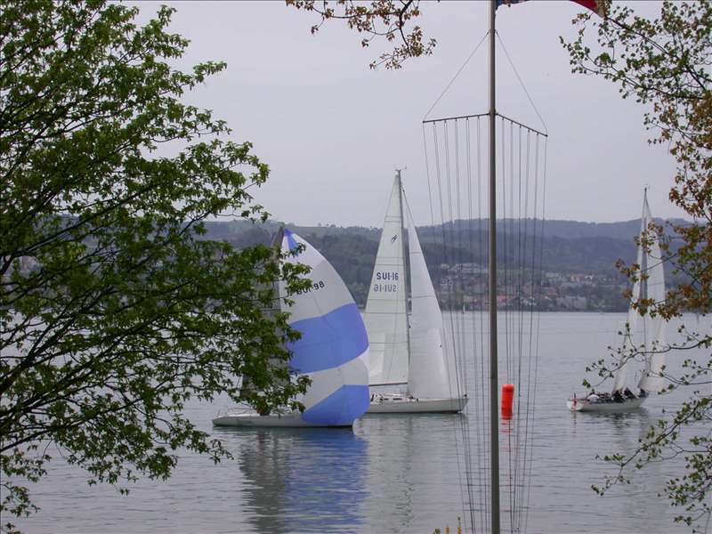 635153_Clubregatta 112.jpg