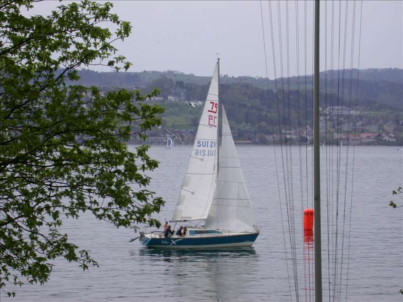 800703_Clubregatta 121.jpg