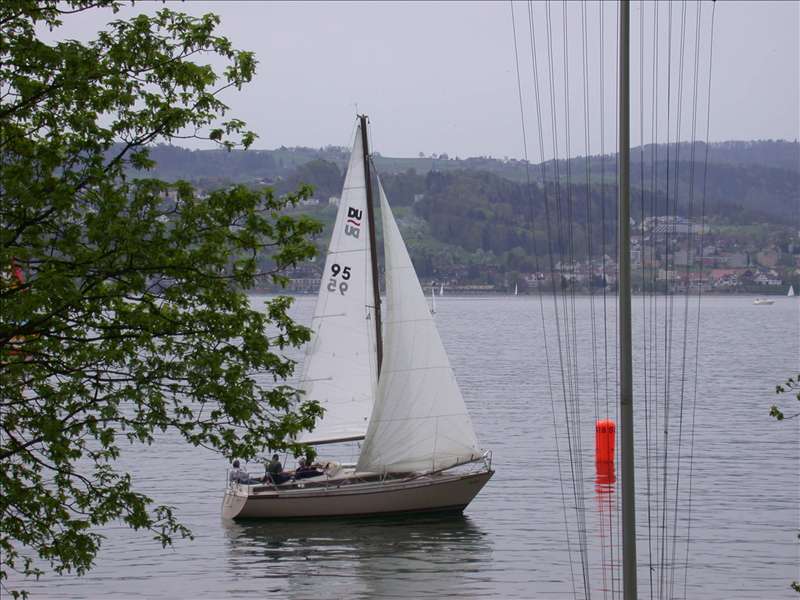 901544_Clubregatta 123.jpg