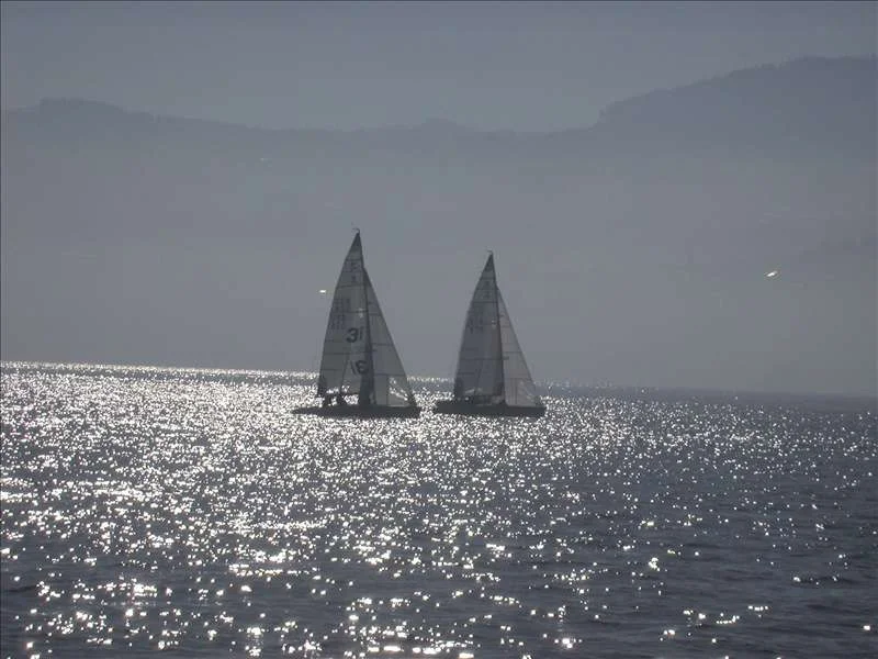 400431_Rasta2005 083.jpg