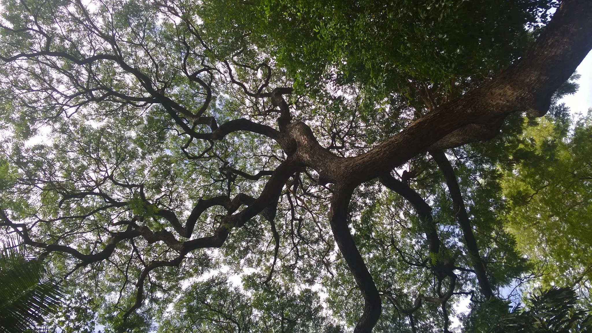 TLTD_About us_2.jpeg