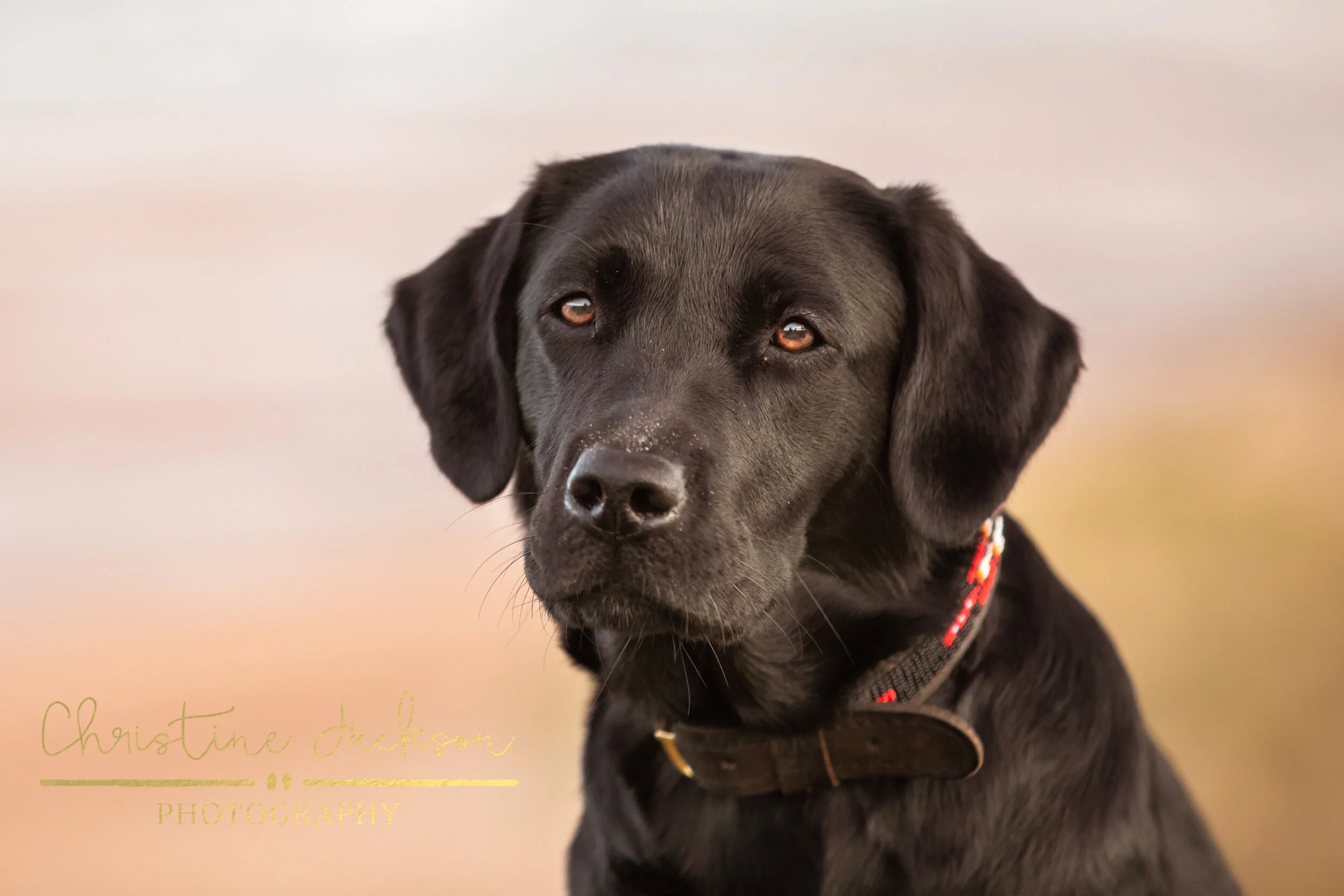 1J9A1134-Edit.jpg