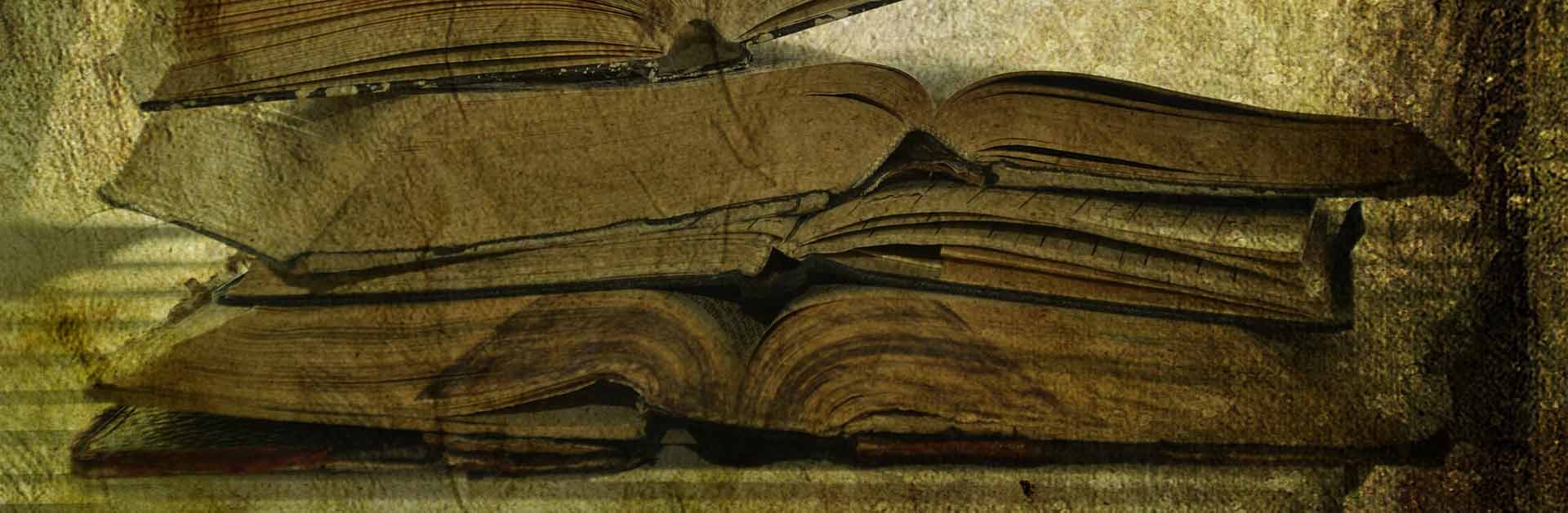 Read books in Latin with Latin commentaries!