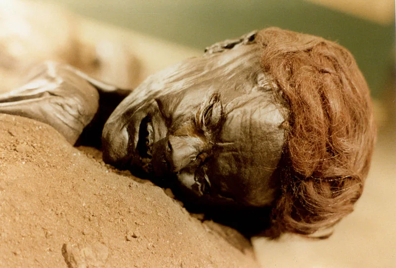 Grauballiensis homo