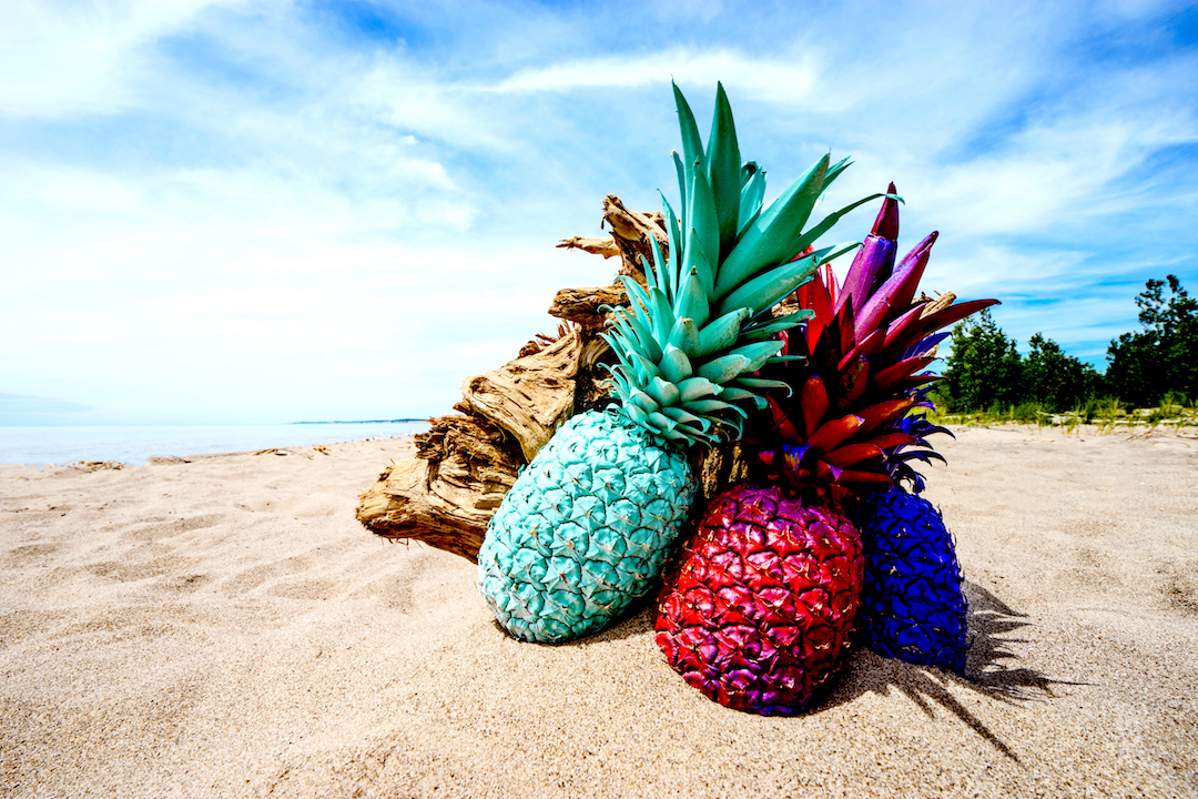 painted pineapples-latinitium.com-learn-latin.jpeg