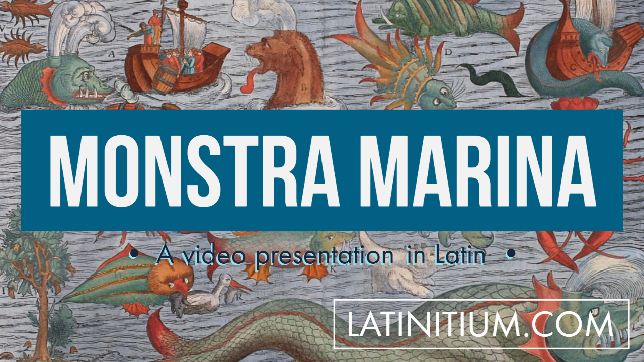 #53 Monstra Marina