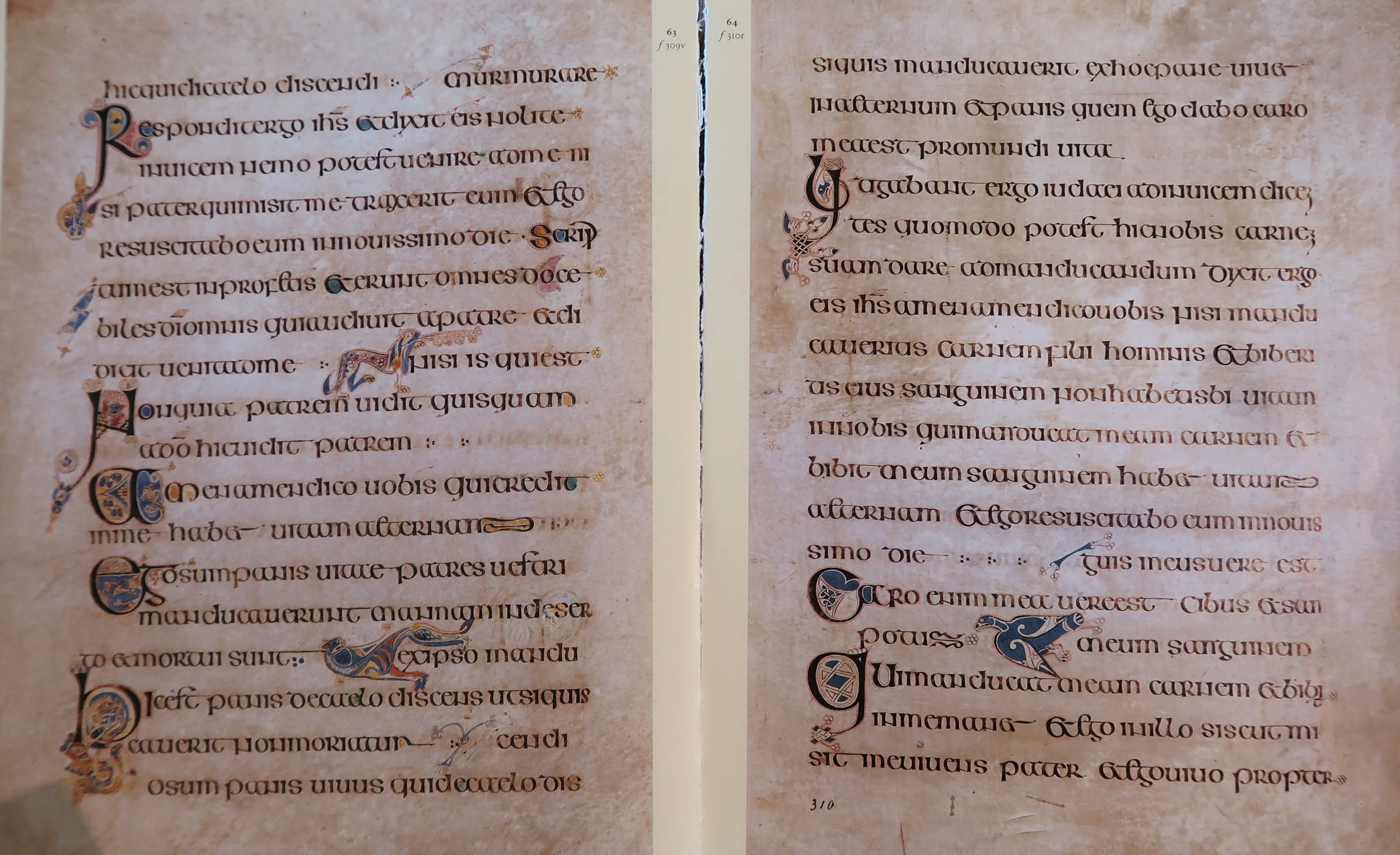 Book of Kells, replica 2, Latinitium.com.jpg