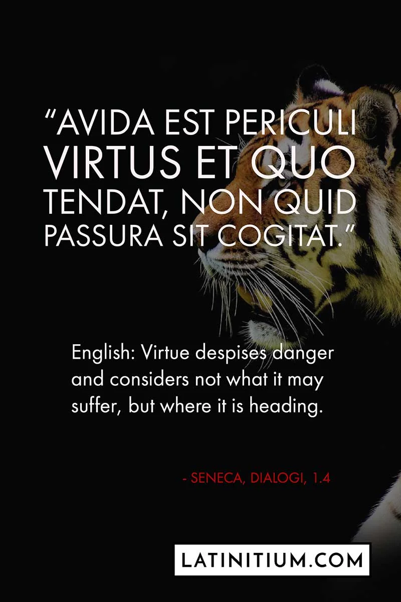 Latin quote about virtue and danger.