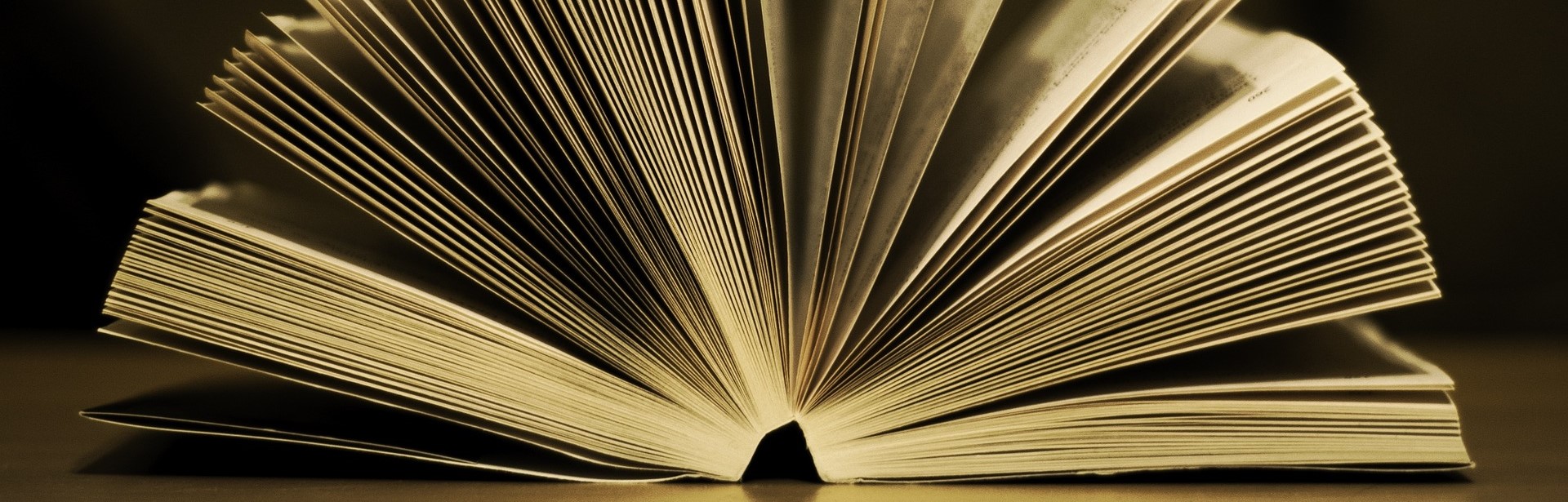 Is reading impossible by Tom Keeline Latinitium klippt.jpg