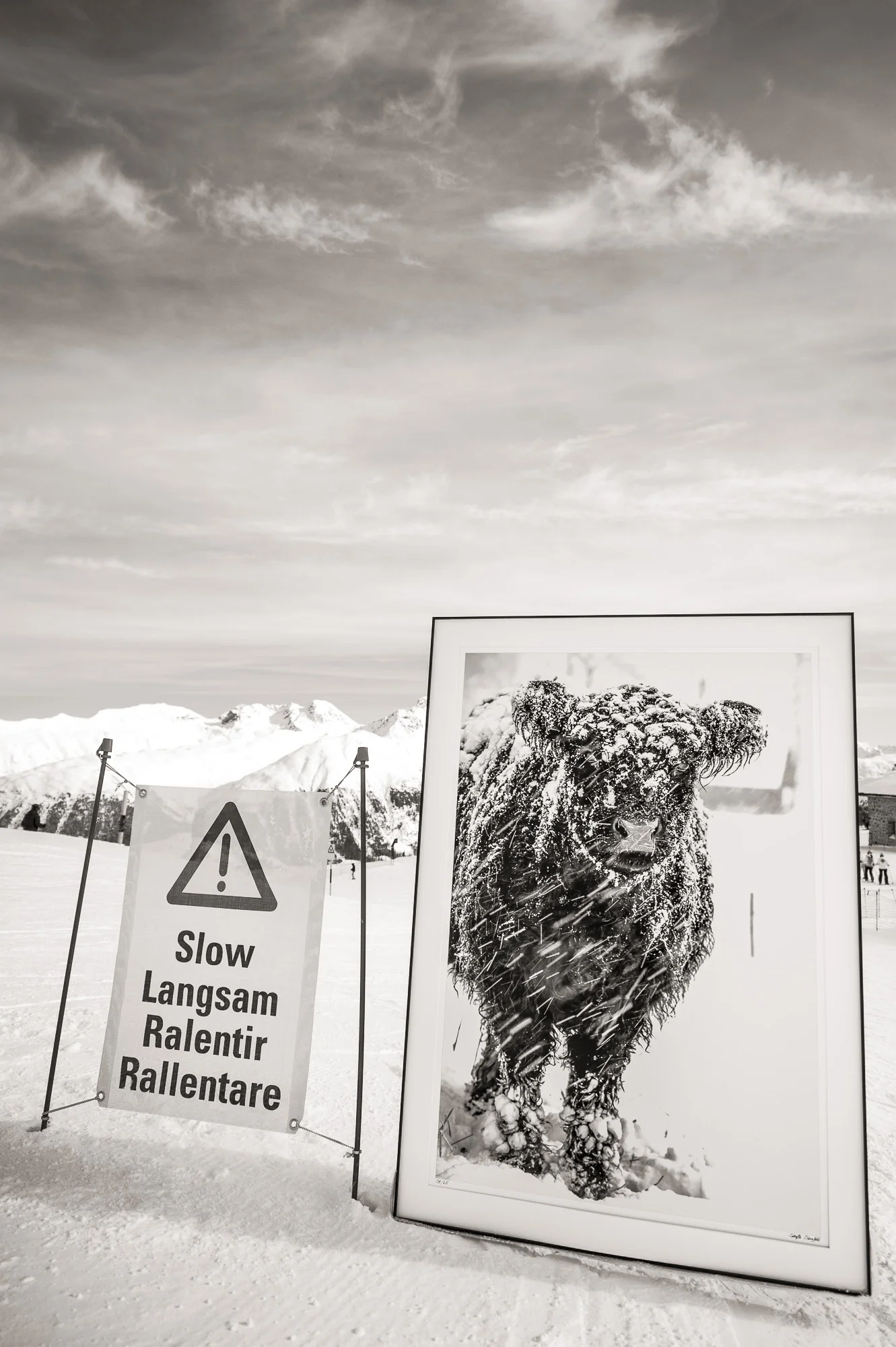Carolina slow #/10 fine art print Hahnemühle
