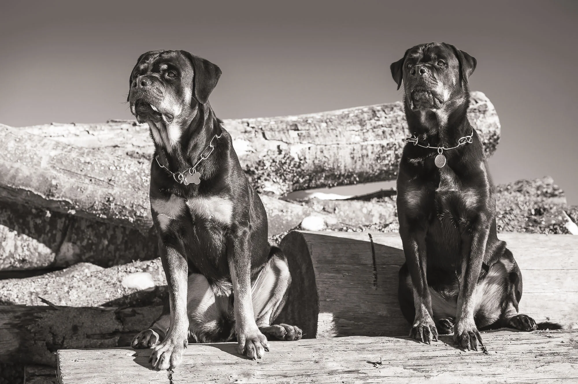 Projekt "Gordon & Blake" Sitting together #/1 fine art print Hahnemühlepapier Location: Flumserberg Switzerland