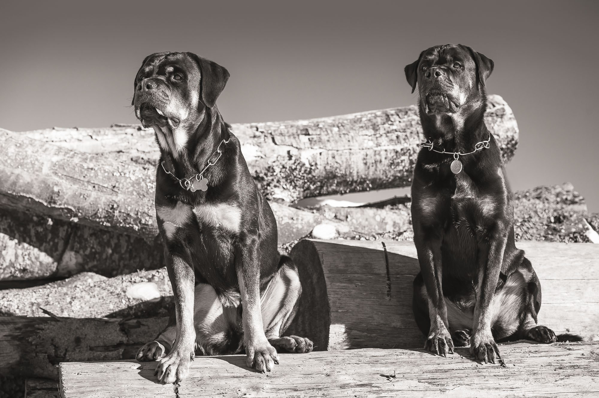  Projekt "Gordon &amp; Blake" Sitting together #/1 fine art print Hahnemühlepapier Location: Flumserberg Switzerland 