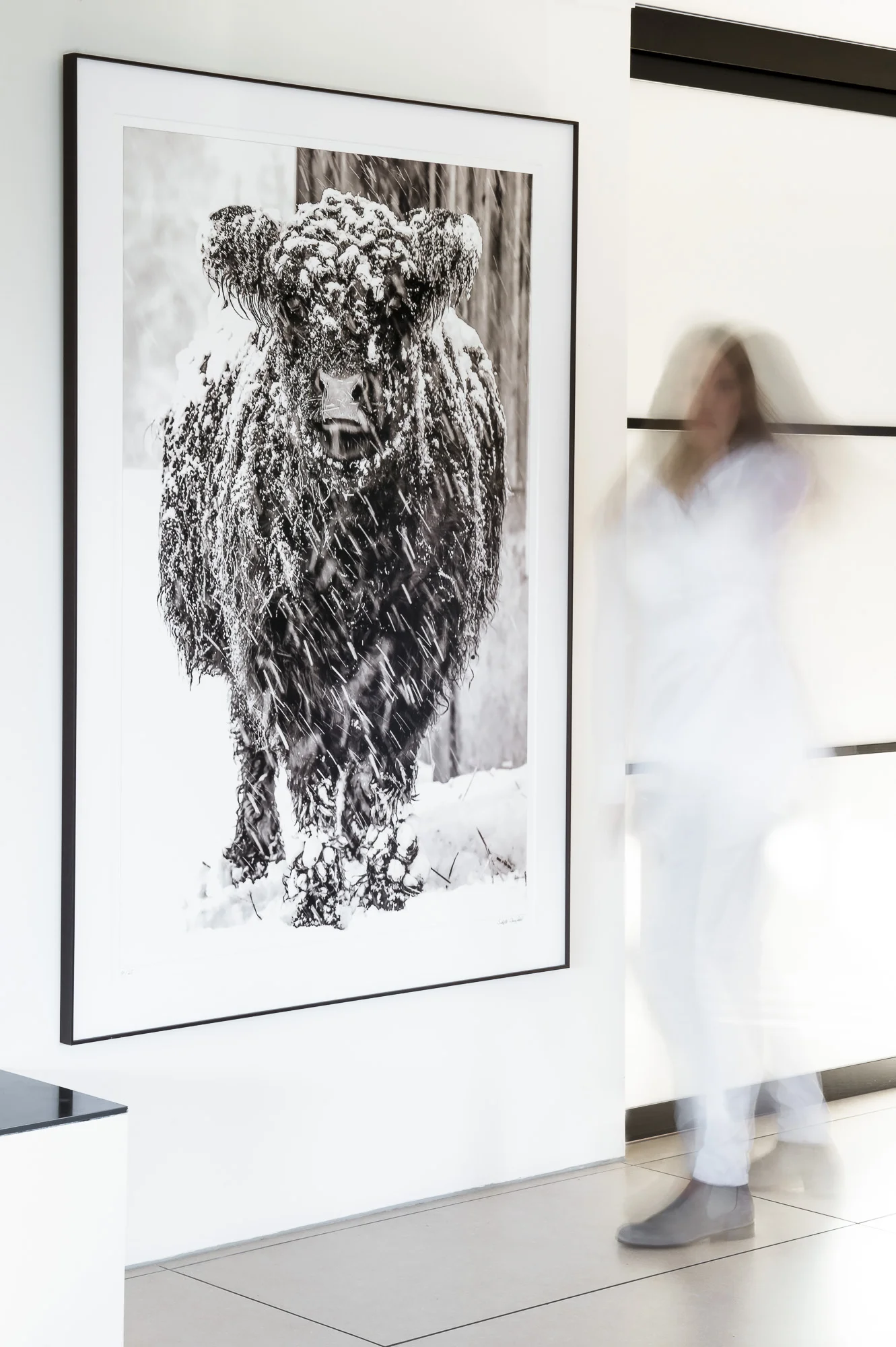 Carolina 1 17/25, fine art print 100cm x 150cm Rahmen Wenge 122cm x 174cm