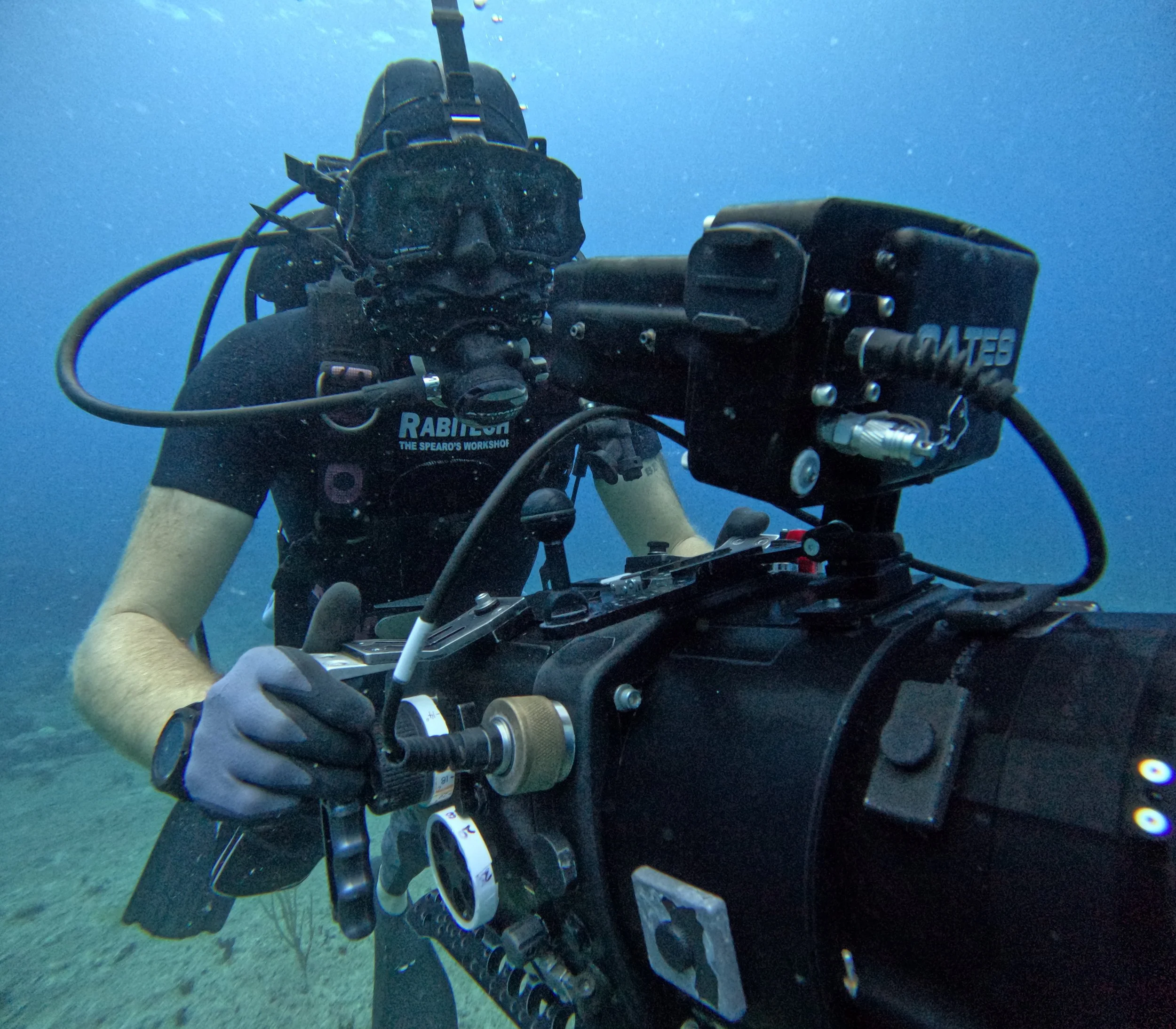 Cinematic 4K wildlife videography