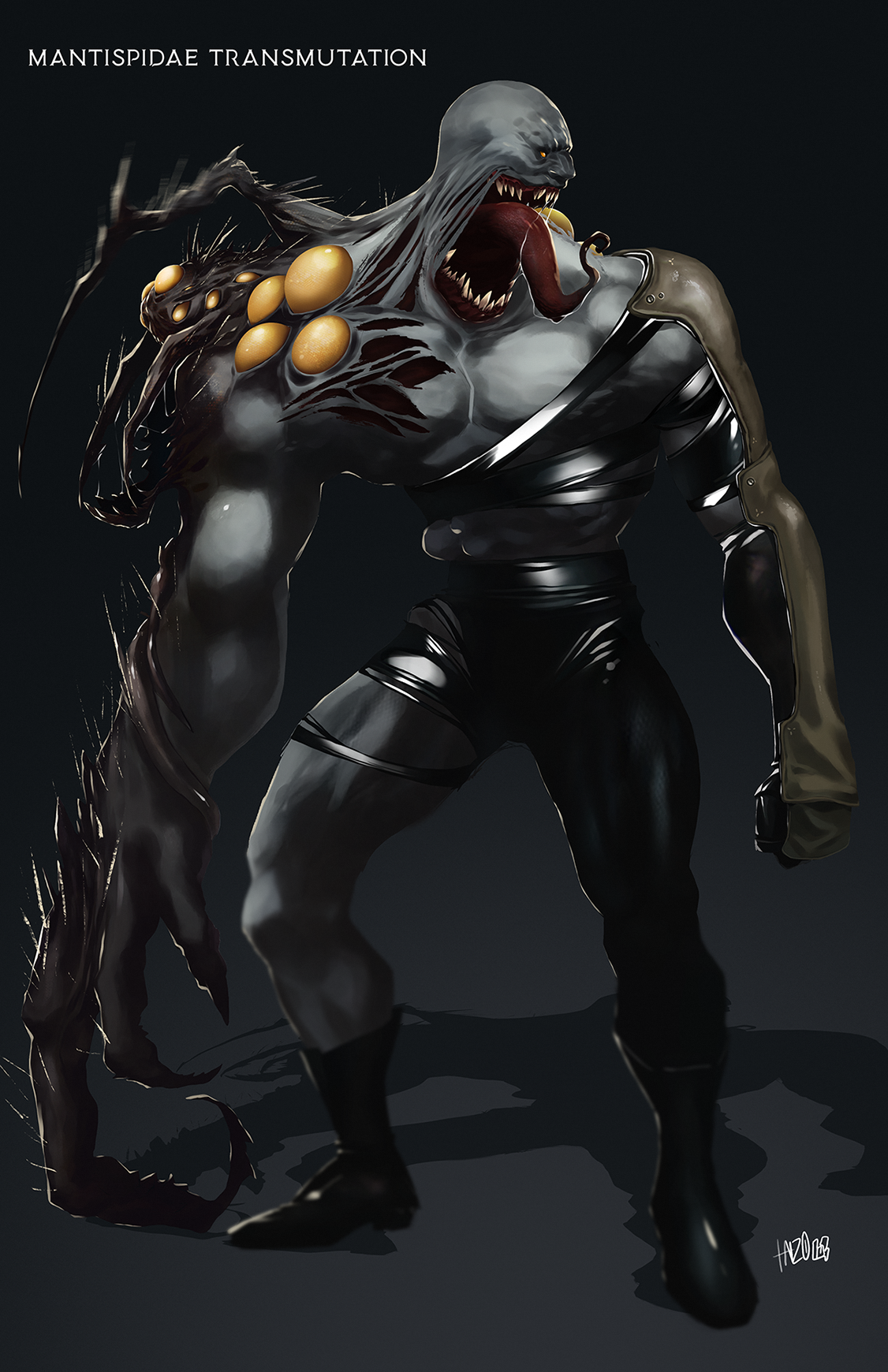 Mantispidae Transmutation.png