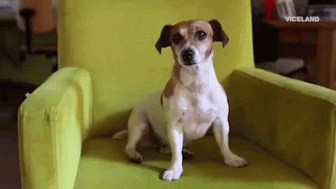 unnamed-1.gif