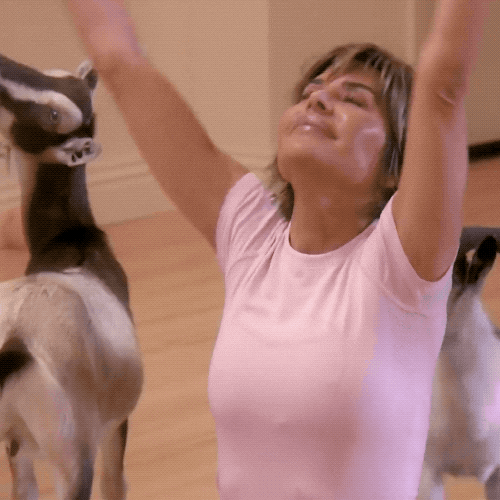giphy-5.gif