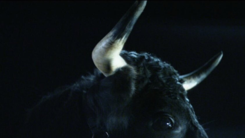 Don Broco - music video