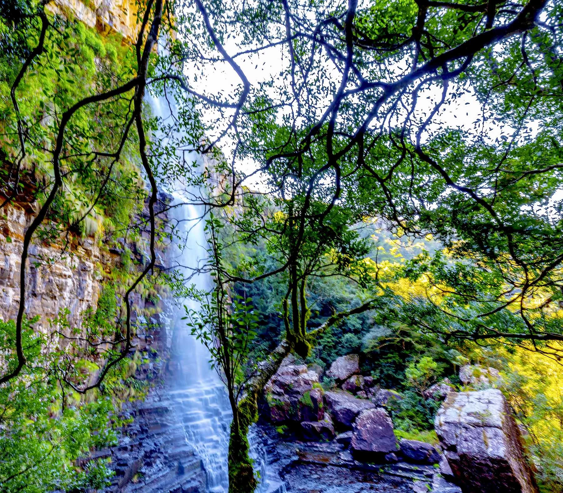 Graskop_Gorge_3