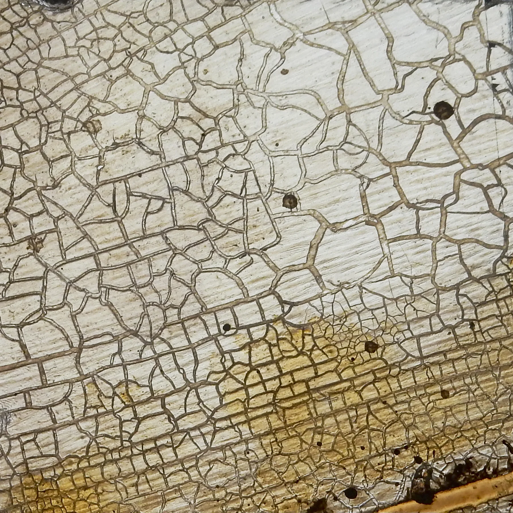 quartzedglass.jpg