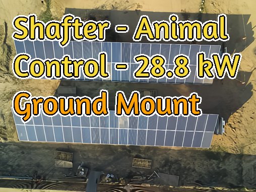 Shafter - Animal Control-final.jpg