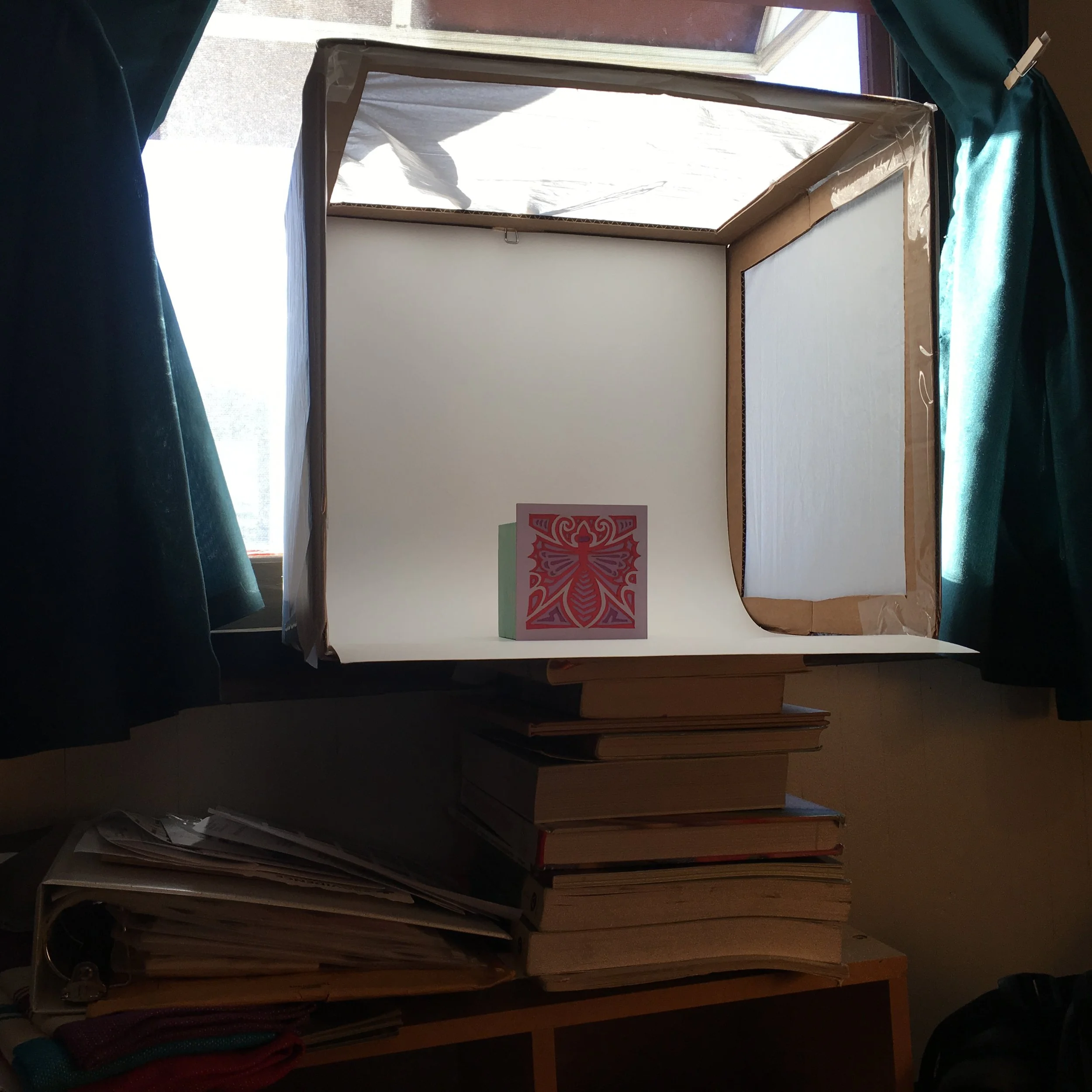 I used about 10 books to get it to just the right height for the tripod and to be situated in the window so I could use natural light. I am grateful that it was a sunny day in Portland! I am curious to experiment on cloudy days and with spotlights in the near future.