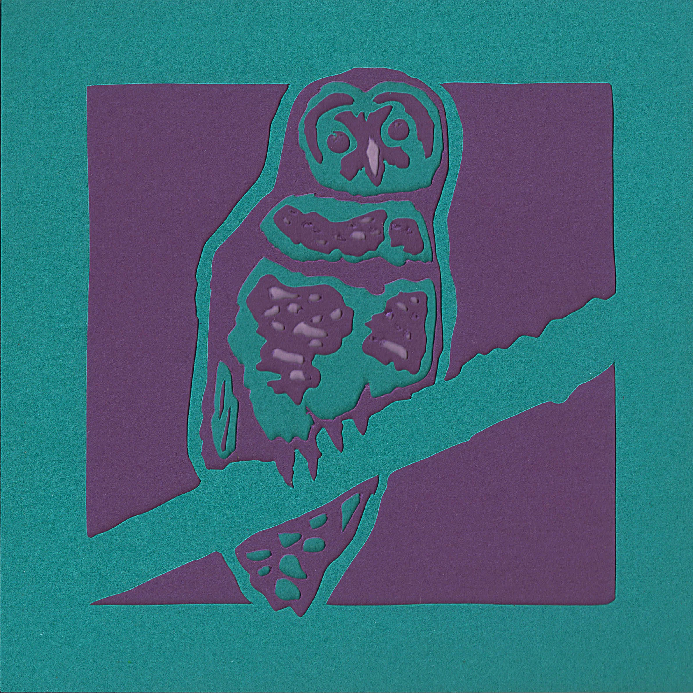 OWL 0002 .jpg