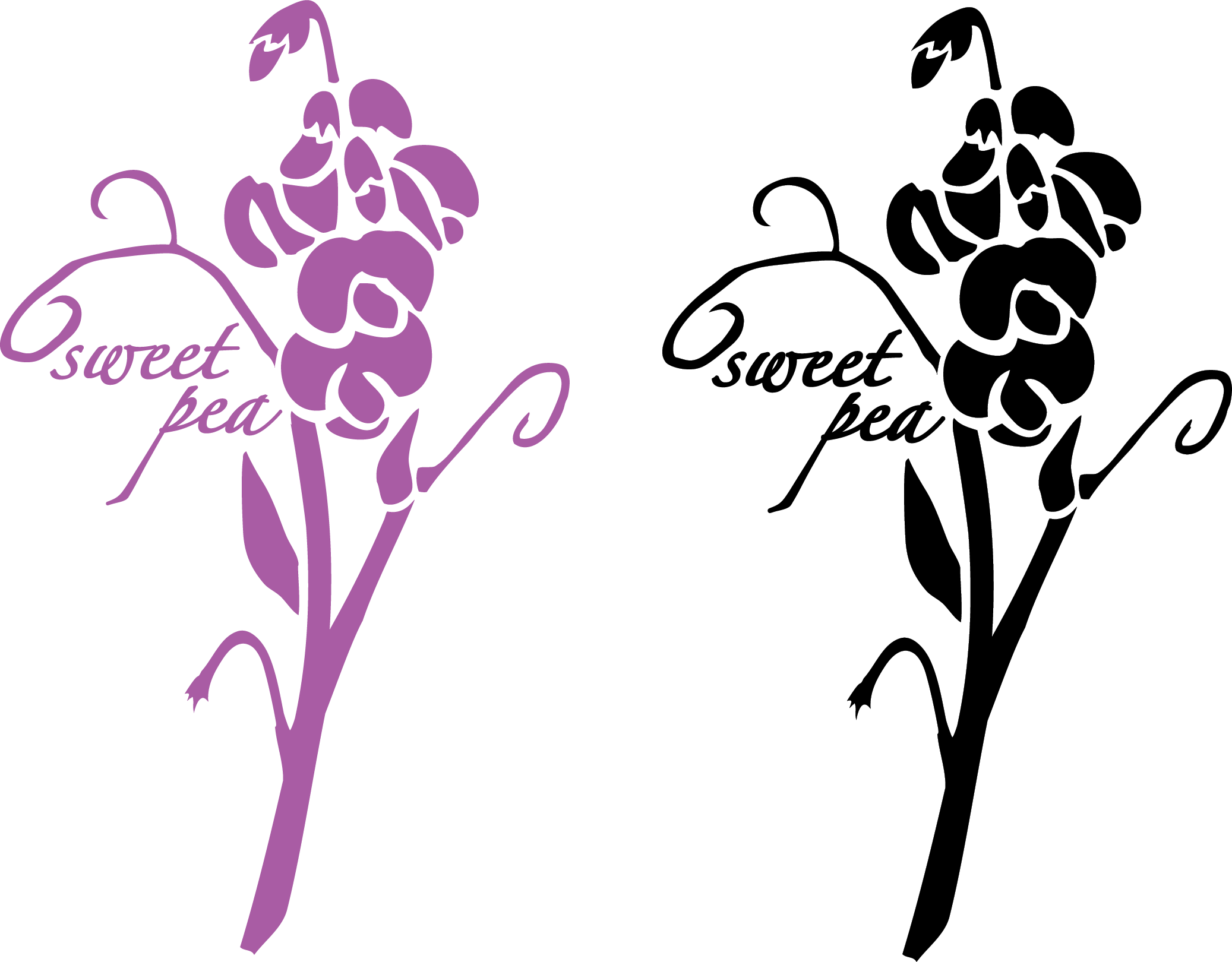 BBundy designs final sweet pea black and purple.png